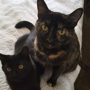 Meet your Posher, Crystal